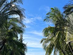 -海南清水湾莱佛士酒店