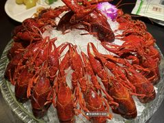 -京悦南门涮羊肉·羊蝎子火锅(田林路店)