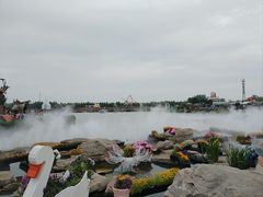 -荷兰花海