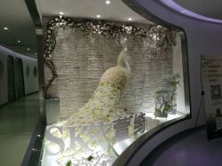 -依萱绮医疗美容