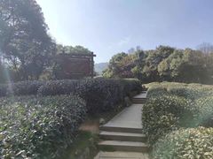 -西湖风景区十里琅珰-五云山
