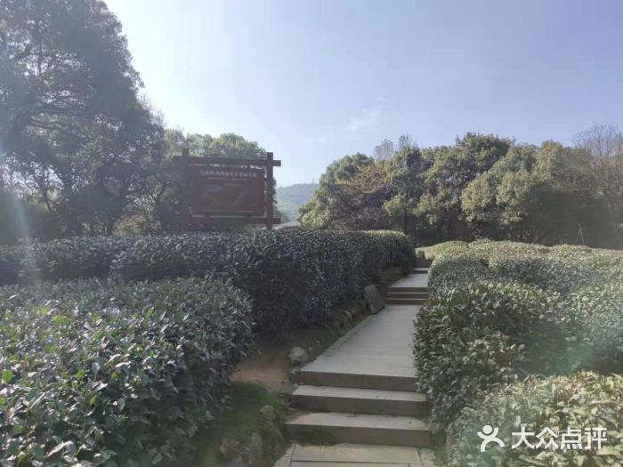 西湖风景区十里琅珰-五云山图片