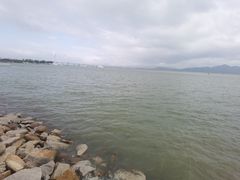 -深圳湾公园(南山区)