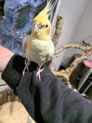 -Zoolung Zoolung动物主题公园(海信广场店)