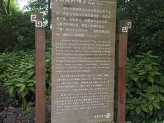 -白马涧龙池景区