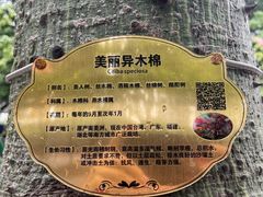 -天河体育中心
