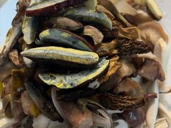 -菌之家·专业纯野生菌火锅·特色炒菌