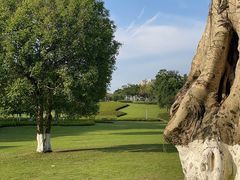 -重庆中央公园(渝北区)