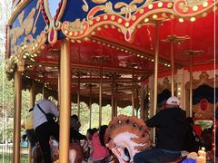 -南戴河国际娱乐中心