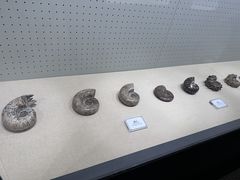 -辽宁古生物博物馆