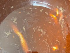 -张家巷胖哥肥肠·三十年老店(原工人村菜市店)