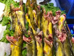 -苏格里岛自助海鲜烤肉(青秀万达店)