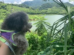 -千泷沟大瀑布旅游区