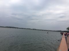 -丁香湖公园