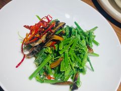 山茶油丝瓜尖-清水亭湖北菜(大屯DT51店)
