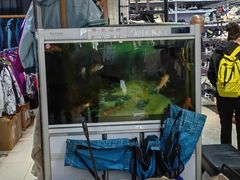 -探路者工厂店(宏福科技园店)