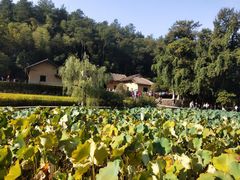 -韶山毛泽东同志故居