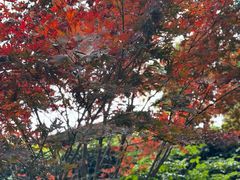 -阳光山水江湖菜馆(西山龙门店)