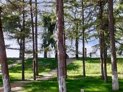 -长春市南湖公园