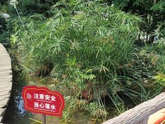 -成都市活水公园