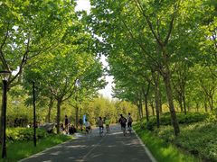 -上海山野camping·户外天幕烧烤·团建拓展营地