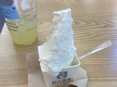-野人先生Gelato(上海长宁龙之梦店)