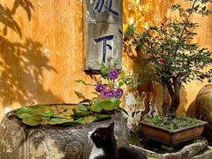 -九华山风景区月身宝殿