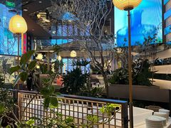 -桂满陇·海市蜃楼·黑金(国金店)