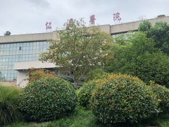 -上海交通大学医学院附属仁济医院(南院)