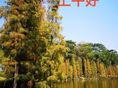 -三水森林公园
