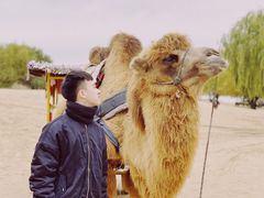 -黄沙古渡原生态旅游区