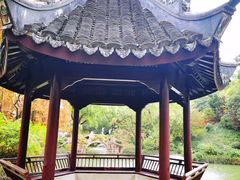 -上海醉白池公园