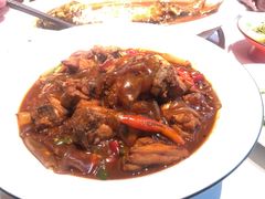 熬炒鸡-阿五黄河大鲤鱼(纬三路店)