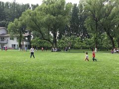-御林古桑园