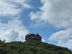 -贵州百里杜鹃风景名胜区
