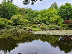 -楼外楼(玉泉店)