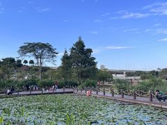 -那考河湿地公园