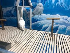 -成都浩海立方海洋公园