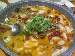 -龙梅肥肠鱼(明瓦廊店)
