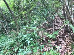 -磐安十八涡风景区