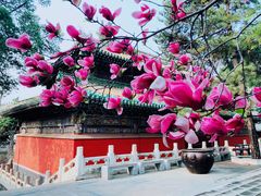 -潭柘寺景区