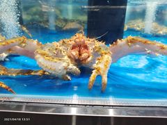 -盒马鲜生(观音桥店)
