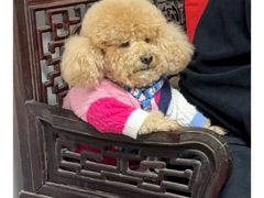 -天津包子铺(万泉庄店)