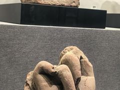 -四川大学博物馆