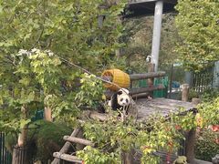 -大连森林动物园