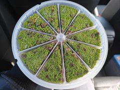 -蟹天蟹地农家菜·阳澄湖大闸蟹(浅水湾店)