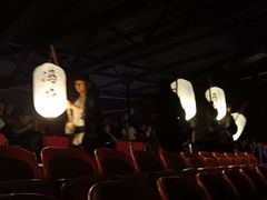 -三亚红色娘子军演艺公园景区