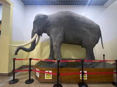 -国家自然博物馆