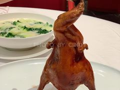 首创昆明BB乳鸭-东富酒家(龙湖西溪天街店)