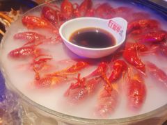 -红盔甲·小龙虾(定西路店)